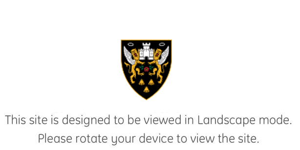 Landscape is the valid orientation